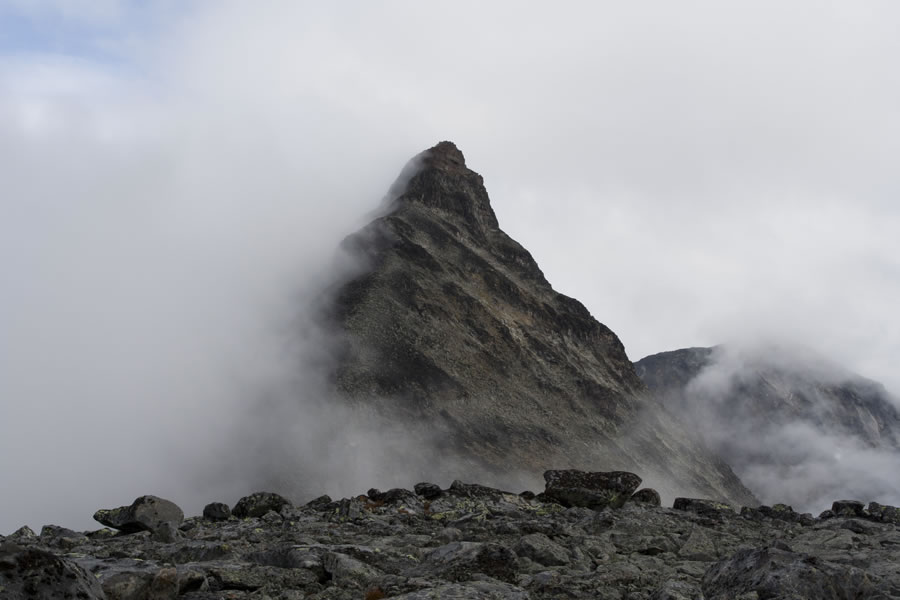 Kyrkja