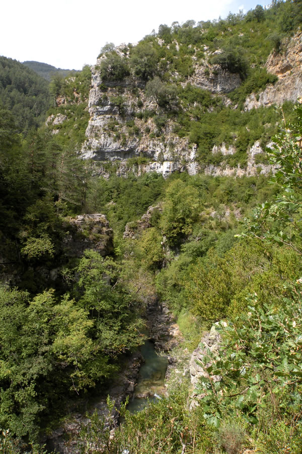 Rio Aso