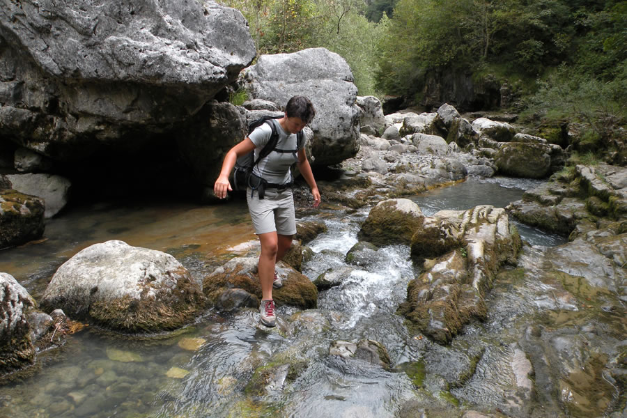 Prečenje Rio Aso