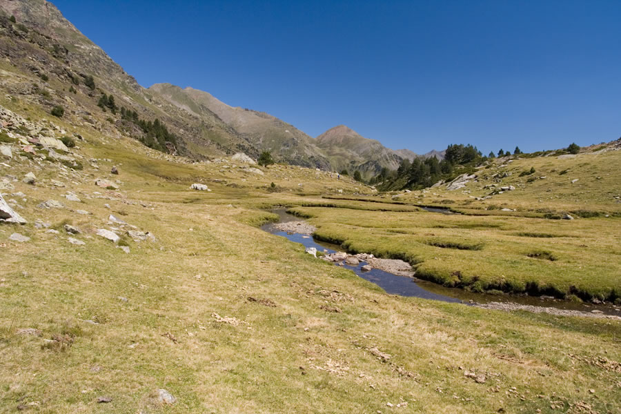 Travnata izravnava pod izhodiščem
