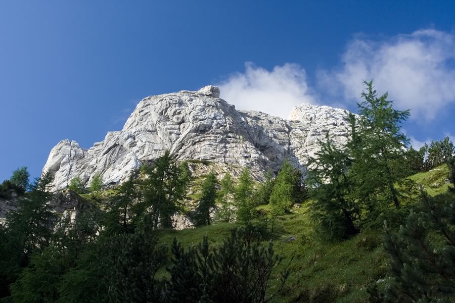 Proti Bavškemu Grintavcu
