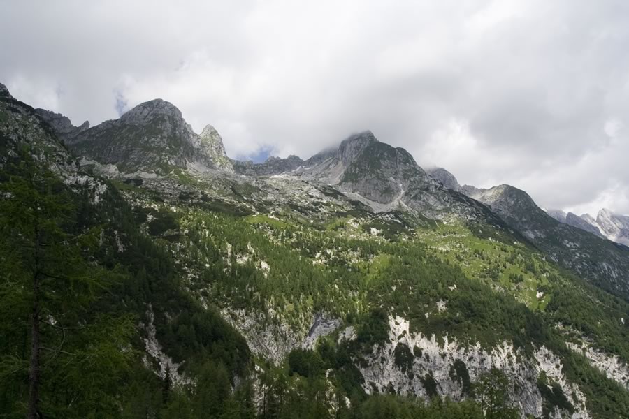 Zadnji Pelc