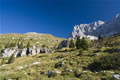 Curtissons in Montaž