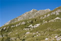 Zabuš