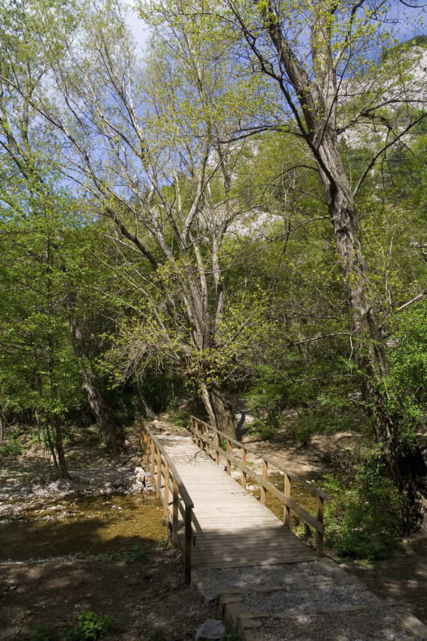 Glinščica
