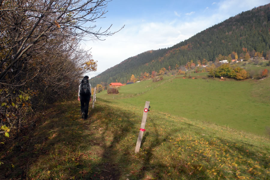 Lopatnik