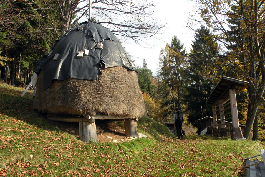 Proti Radojču