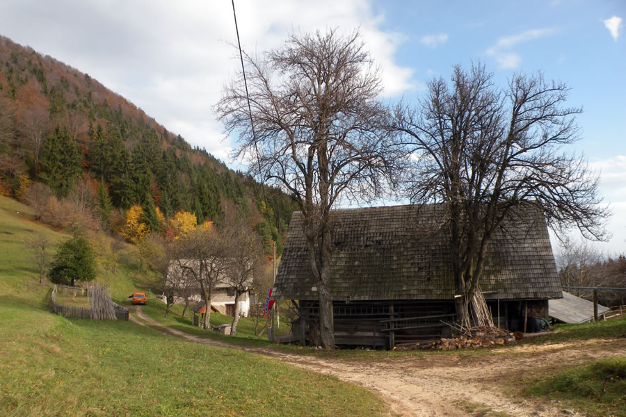 Osredčan