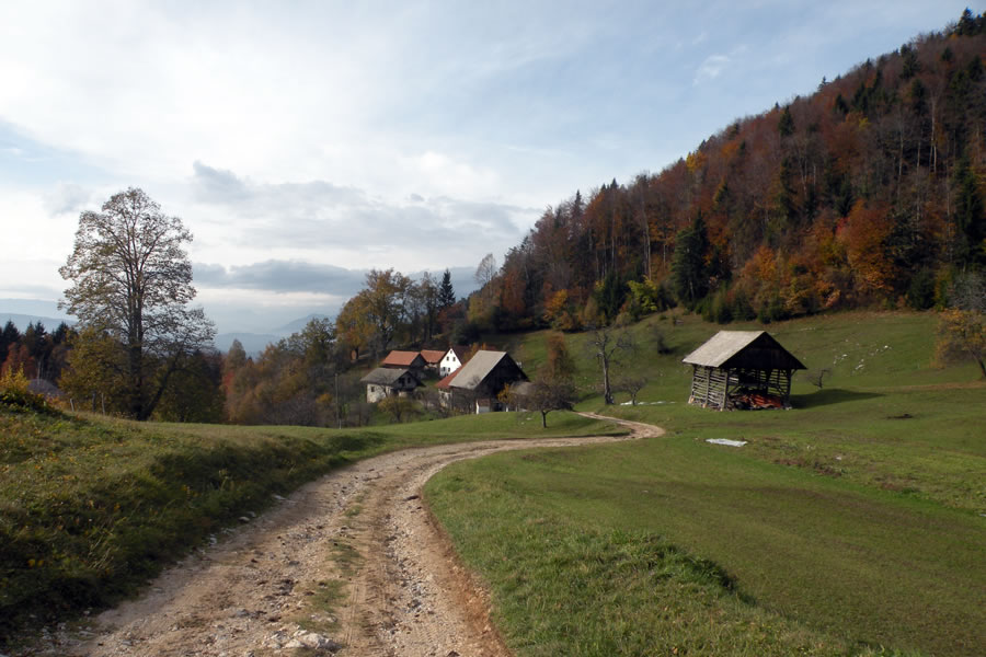 Vodošek