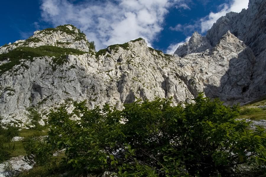 Zatrep Ravenske Kočne
