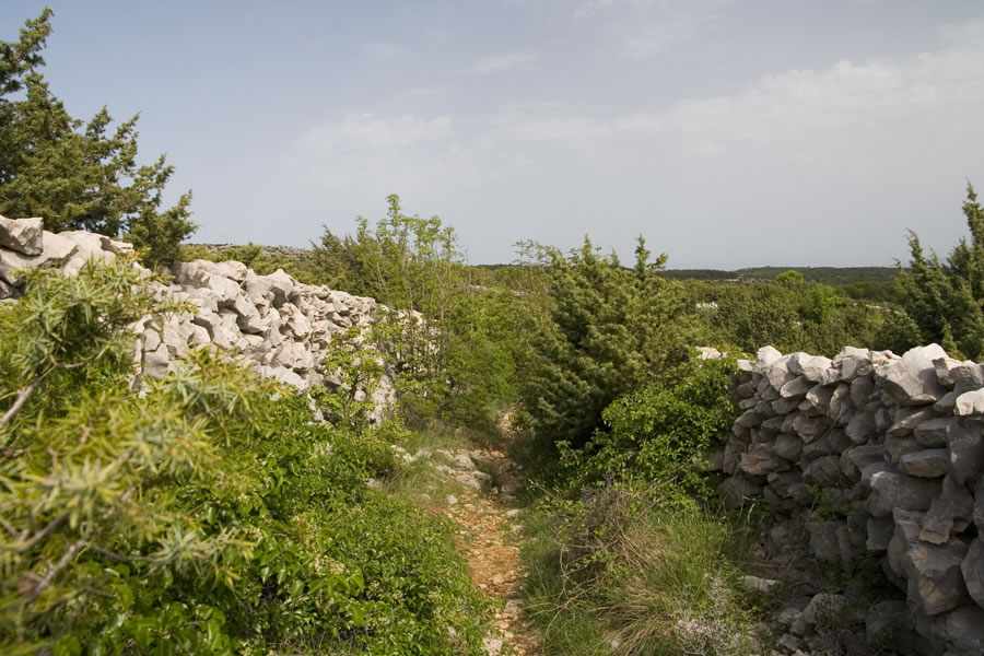 Prijetna pot na Helm
