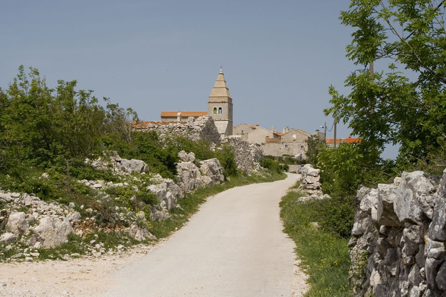 Lubenice