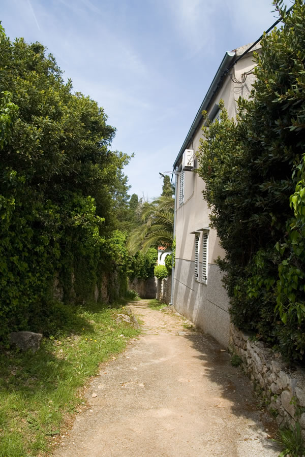 Ulica