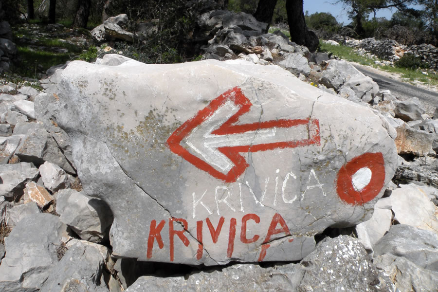 Odcep za Krivico