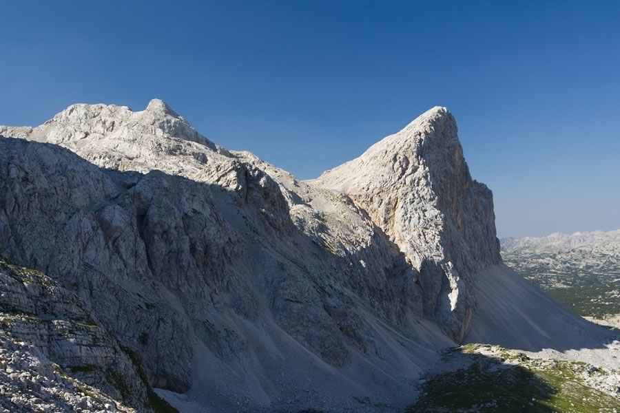 Vogel in Zelnarica