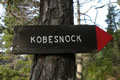 Proti Kobesnocku