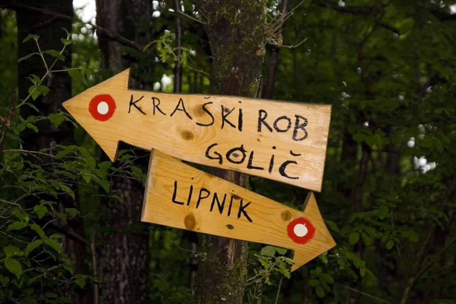 Proti Lipniku
