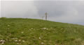 Kavčič