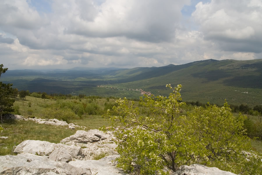 S Kojnika