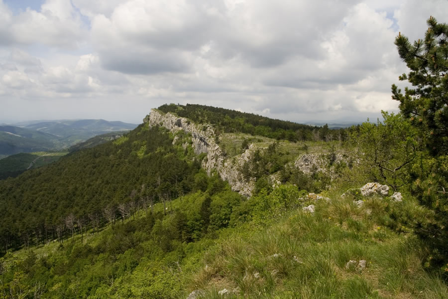 Jampršnik