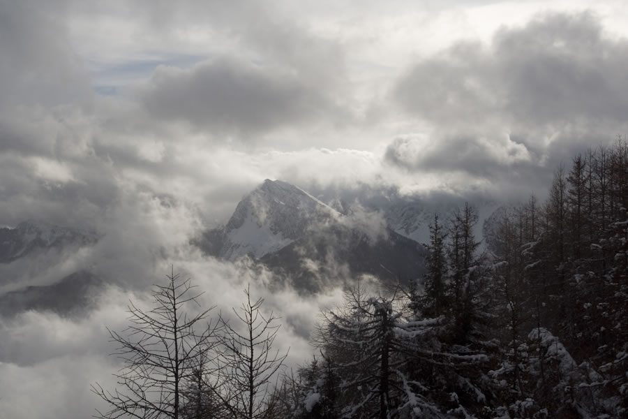 Kozjak