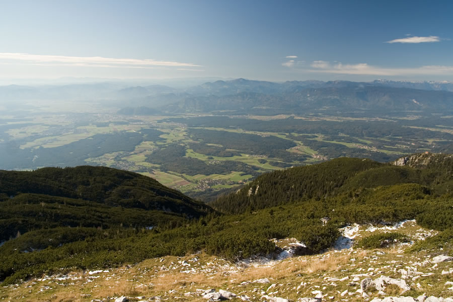 Dolina
