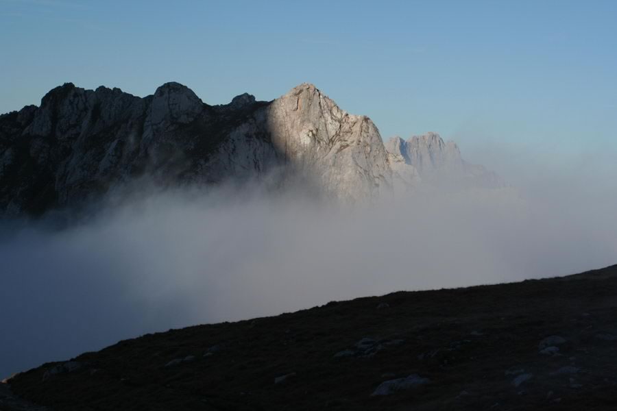 Male špice