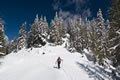 Proti Zahomcu (Monte Acomizza / Sch�nwipfel)