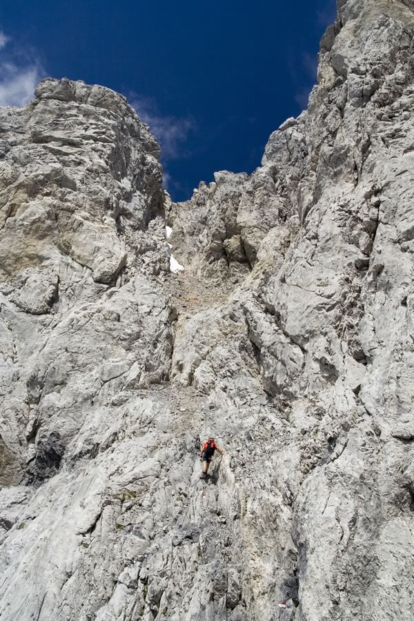 Divji svet na poti proti Creta della Chianevate / Kellerspitzen