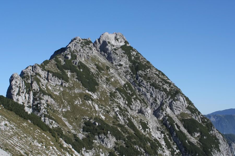 Krofička