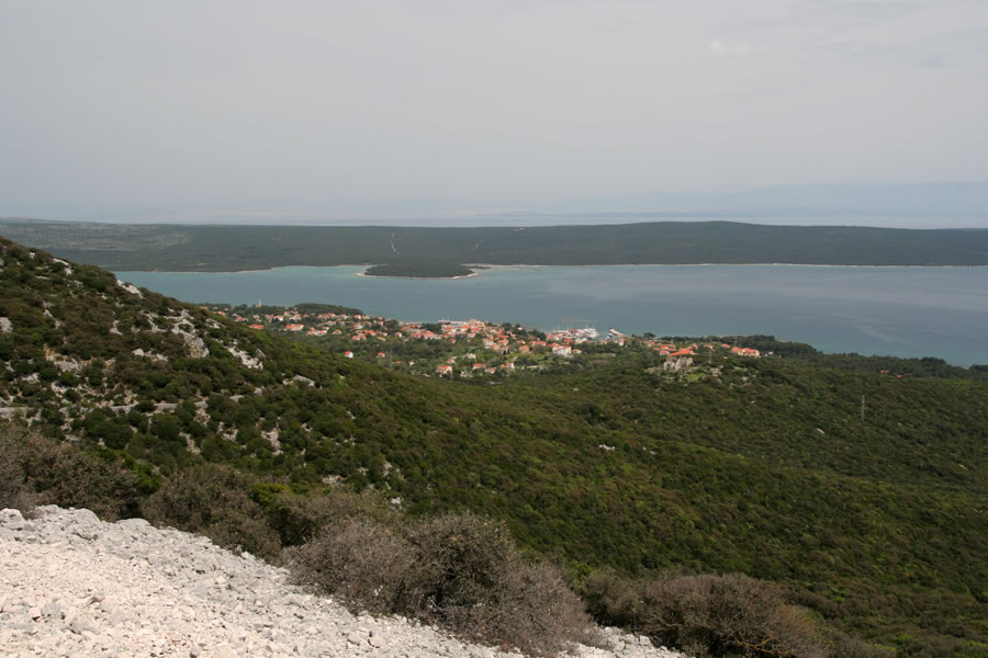Nerezine
