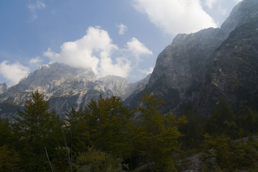 Jalovec, Plešivec