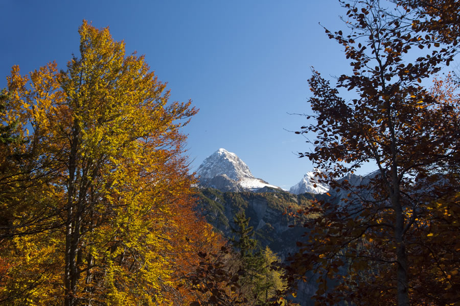 Mangart