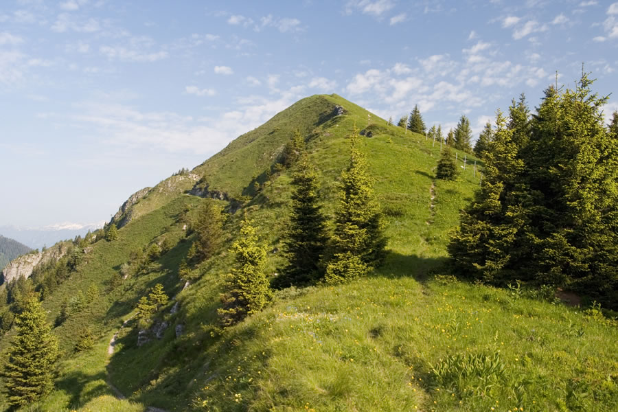 Slatnik
