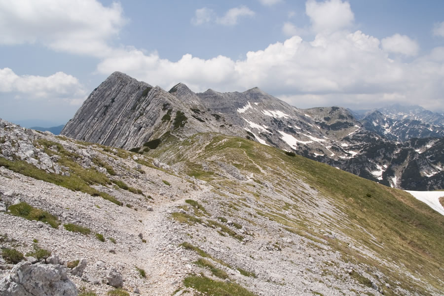 Proti Rodici