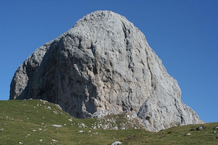 Kopica