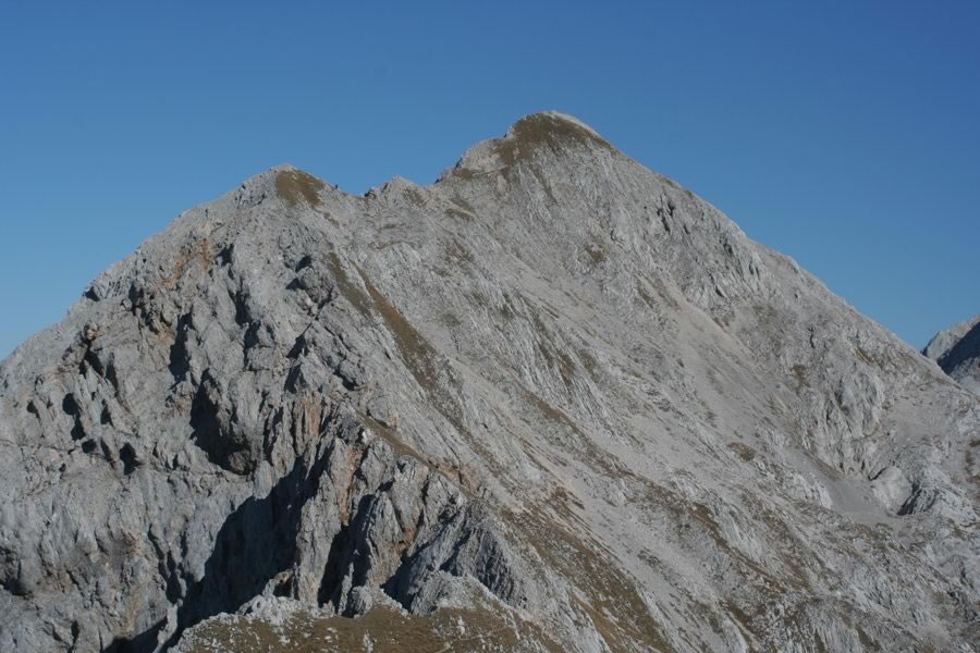 Mala Zelnarica