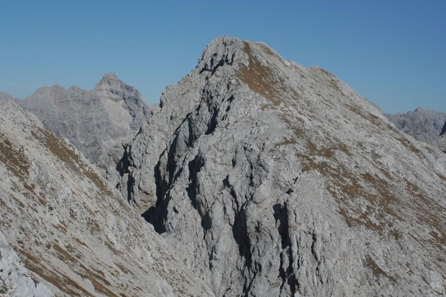 Velika Zelnarica