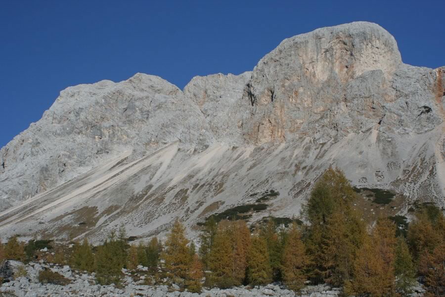 Zelnarica in Kopica