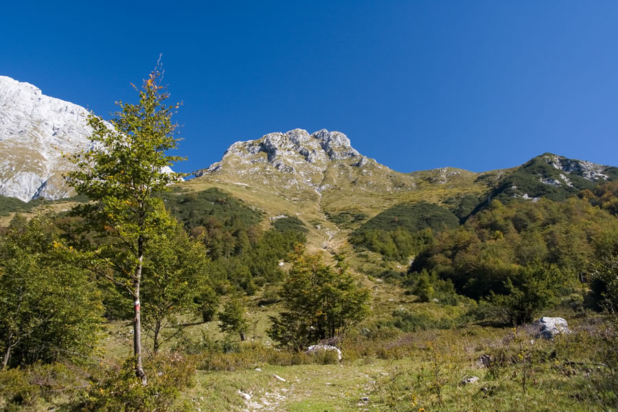 Mala Baba