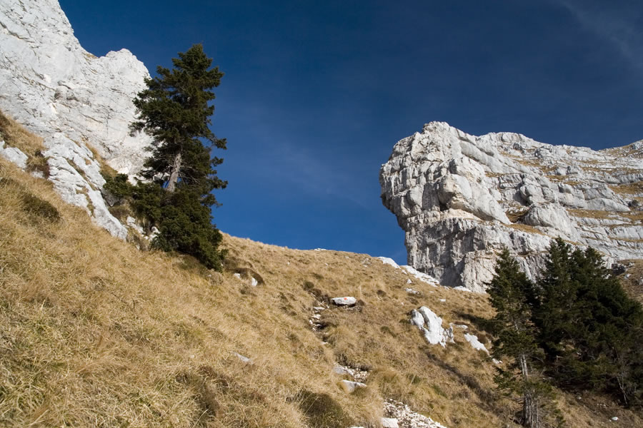 Forca di Vandul