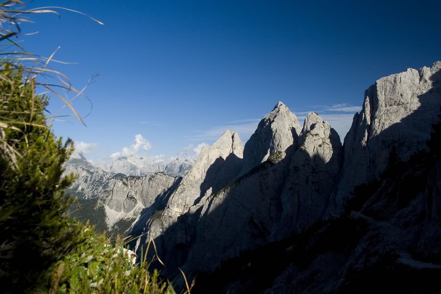 Lojtrica, Trbiška Krniška špica