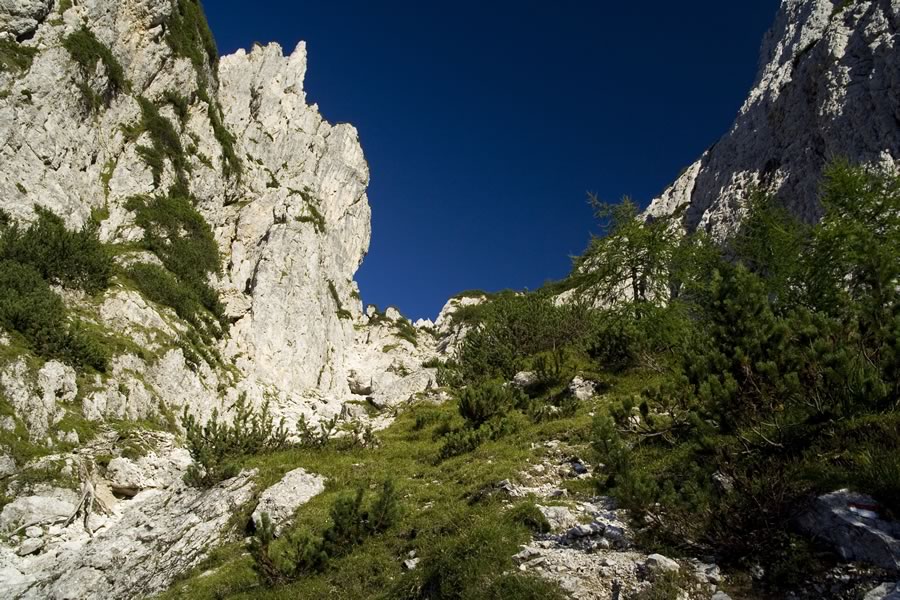 Žabniška škrbina