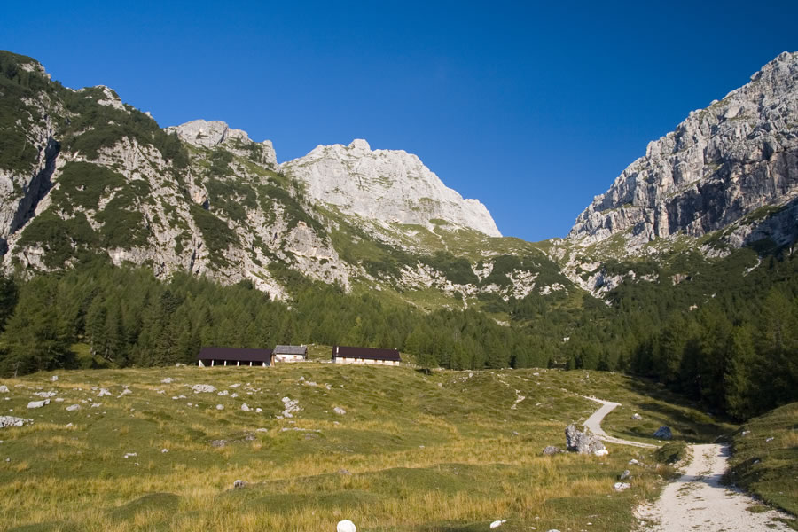 Viška planina