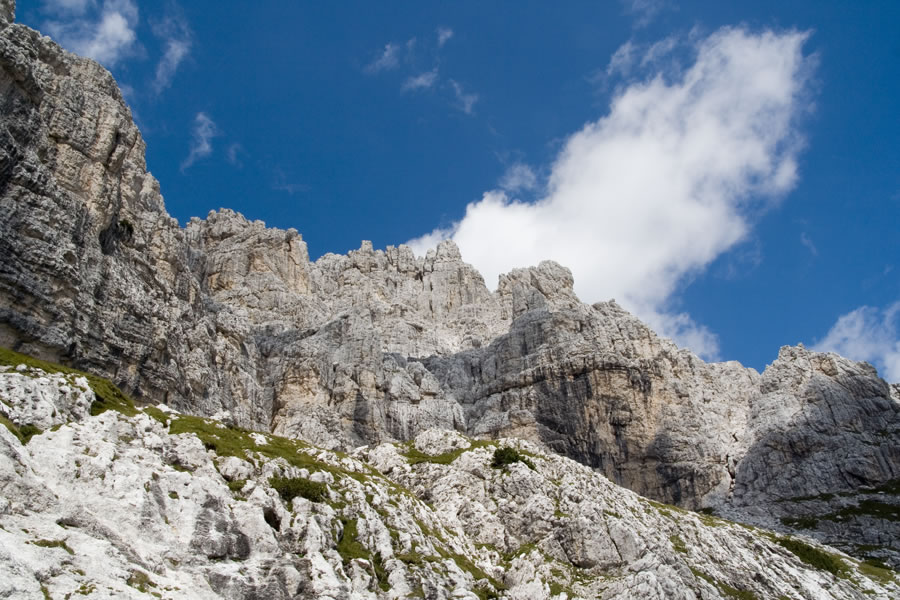 Pogled nazaj
