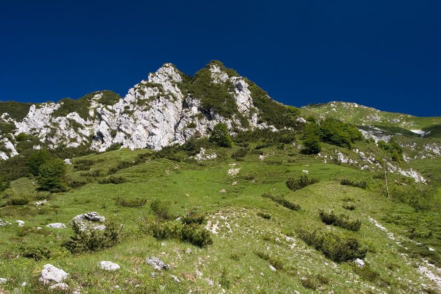 Proti vrhu