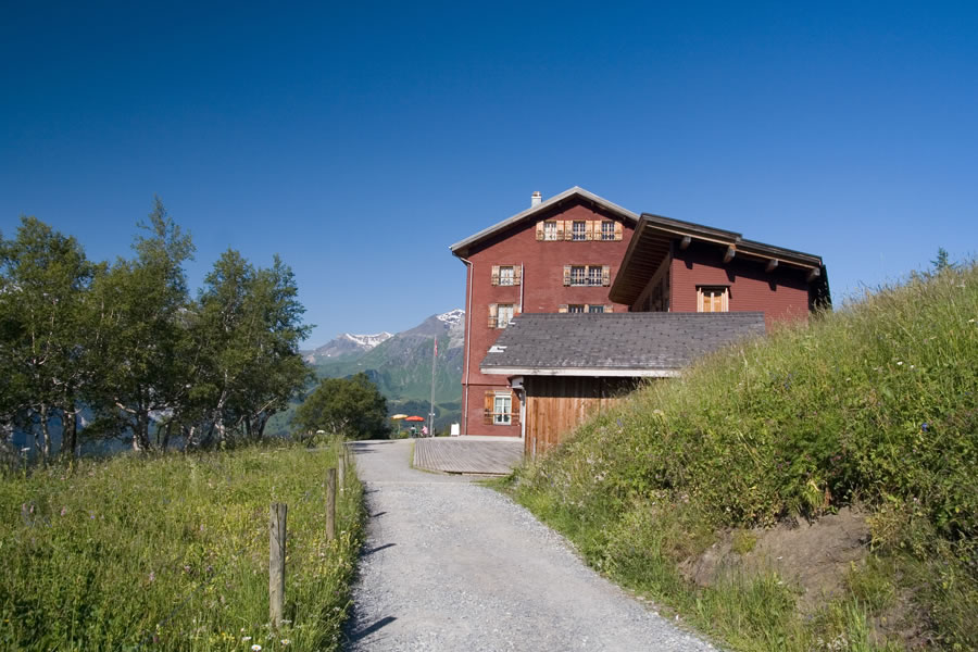 Wengernalp