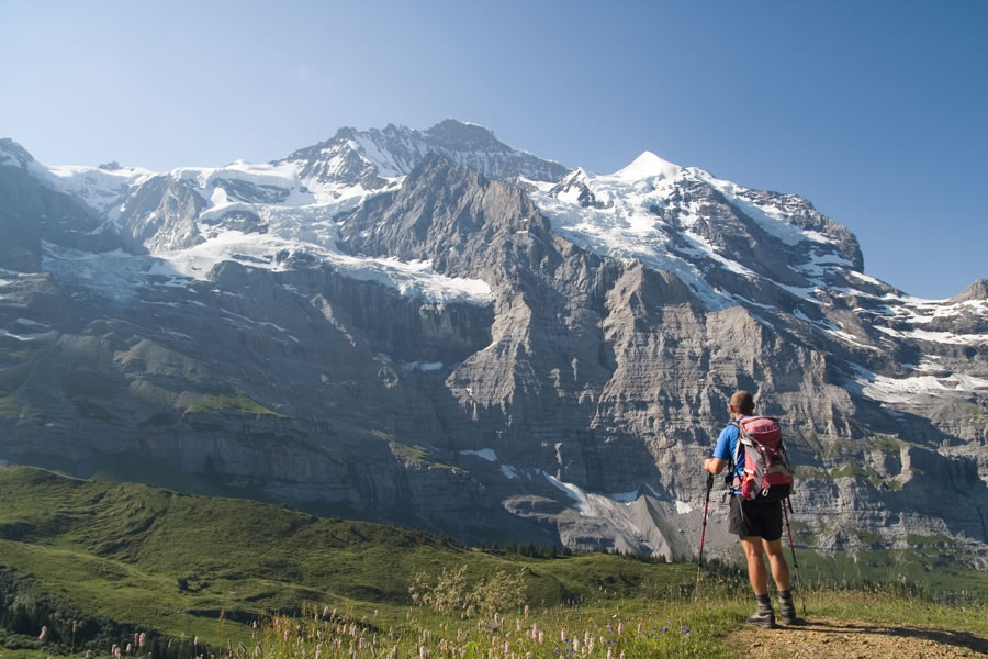 Jungfraujoch, Jungfrau, Silberhorn