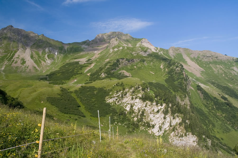 Plasteikopf