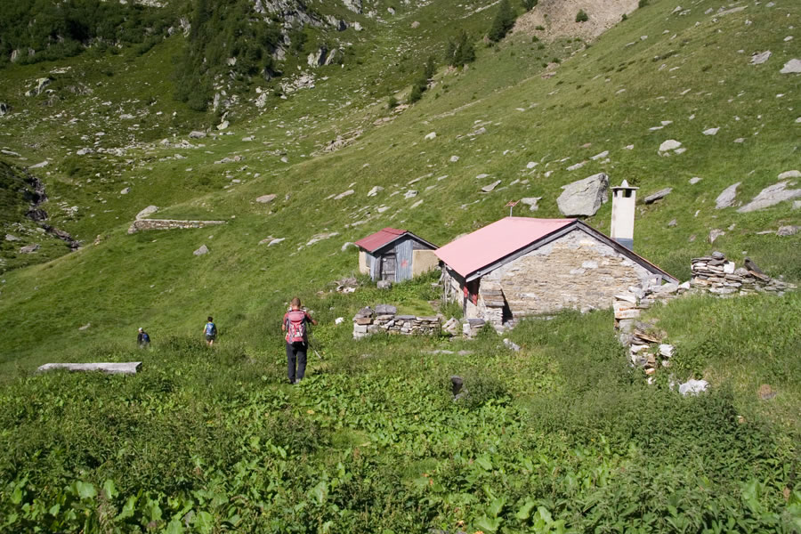 Planina Alp d'Albion